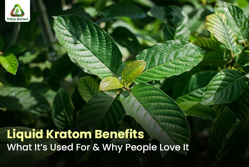 Liquid Kratom Benefits: What It’s Used For & Why People Love It