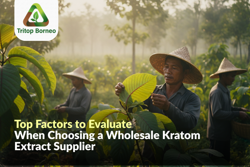 Top Factors to Evaluate When Choosing a Wholesale Kratom Extract Supplier