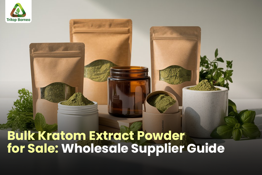 Bulk Kratom Extract Powder for Sale: Wholesale Supplier Guide