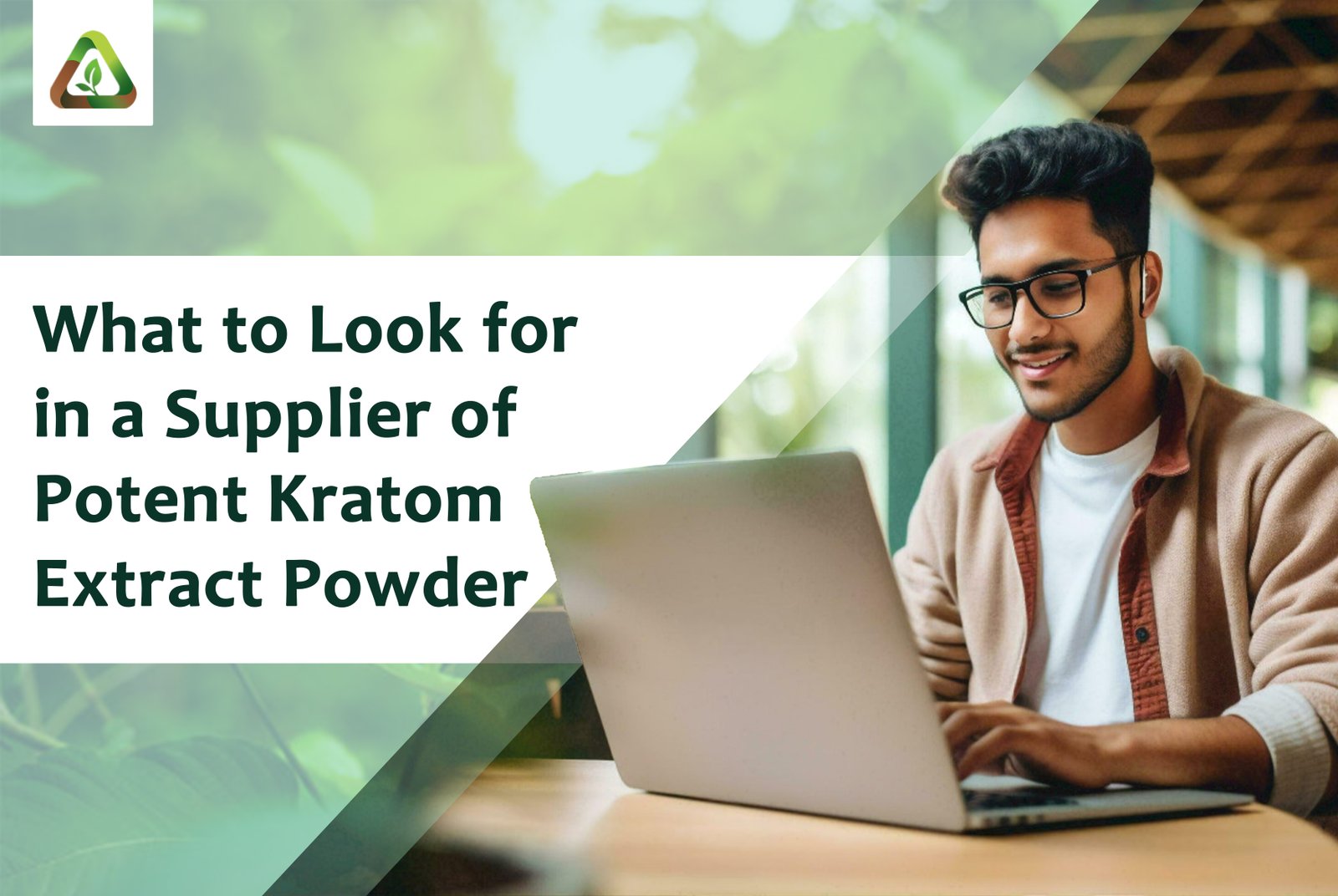What to Look for in a Supplier of Potent Kratom Extract Powder