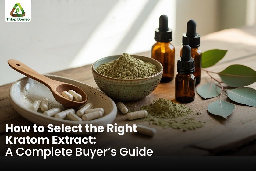 How to Select the Right Kratom Extract: A Complete Buyer’s Guide